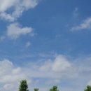 토우 농장 이미지