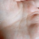 헤어터치엘 Daum카페