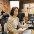 (주)더모아부동산중개법인 | [뉴스 요약] 5월 공사 전면중단 분양가 50% 폭등?: 2026년 4월 24일 주요 부동산 뉴스