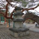 단월약국 이미지