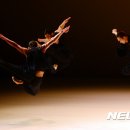 제전악-장미의 잔상 이미지