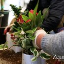 제우스농장 이미지