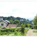 숲속마을 이미지