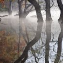 덕천2리 이미지