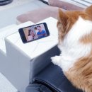 동엽농장 이미지