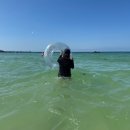 제주런드리 | 함덕해수욕장 오분컷 코인세탁 셀프세탁방 더런드리 제주함덕점