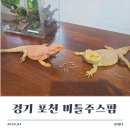 신평로 | [경기] 포천 아이와 힘께 나들이 하기 좋은 곳 '비틀주스팜' 가성비 좋은 파충류 체험공간