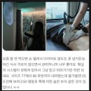 바디밸런스뷰티홈케어