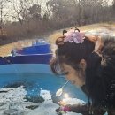 논산딸기마을