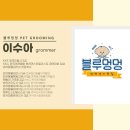 멍멍그루밍 이미지