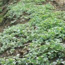 구로구청(3) 이미지