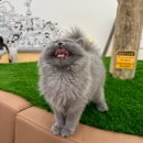 몽글몽글 이미지