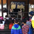 온양목장 이미지