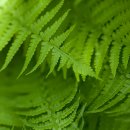 아이리스골프클럽 이미지