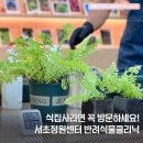 [반려학습] 반려 식집사의 식물이야기 | 말죽거리공원 반려식물클리닉에서 분갈이 받아본 후기