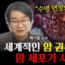 암 연구만 35년! 세계 최초로 '이것'의 항암 효과 규명! 암 환자의 평균 수명을 연장 시킨 '이것'의 정체는?! 이미지