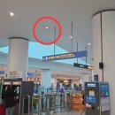 제2교통센터 서측 L6-1 플리커관련 민원 이미지