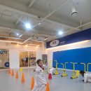 화랑태권도체육관(태권) | 화랑 태권도