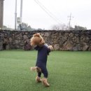 스테이도도 이미지