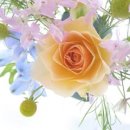 직업상담사2급 이미지