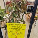 강동크림베이글