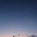 고양이천국 이미지