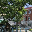 노벨문구 이미지