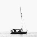 경기도 수원시 장안구 경수대로908번길 이미지