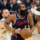 골든 커리 이미지