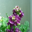 스톡(stock) 이미지