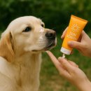 대박스타 이미지