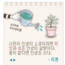 피아골단풍민박 이미지