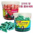 딸기애견 이미지