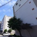 신방초등학교병설유치원 이미지