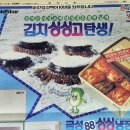 금성광고 - 원주시 | 금성광고
