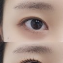 꼼썹뷰티 속눈썹펌 이미지