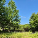 한라컨설팅공인중개사사무소 이미지