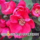 성수카센타 이미지