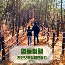 부천둘레길5코스 | 영동 레인보우힐링관광지 둘레길 산책코스후기