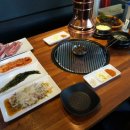 돌리고제주도야지 이미지