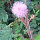 나눔한방허브 이미지