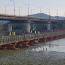 일출추어탕 이미지