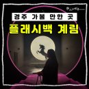 ㈜미디어인 | 11월 경주 데이트 추천 미디어아트 감상하며 즐기는 실내 전시 플래시백 계림 실내 데이트 솔직 후기