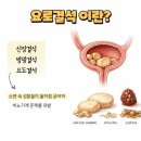 판교 P&P 동물병원 이미지