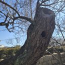 김해건설공업고등학교 이미지