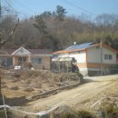청성초등학교 이미지