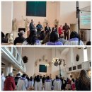 행복한영광교회, 생명나무교회 | 빛과 그림자