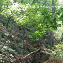 쌍봉사천 이미지