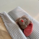 이리어린이집 놀이터 | 어린이집 입소준비물 / 브루코(Bruco), 네임스티커, 주니 2in1, 닥터노아 칫솔,치약, 올포홈 낮잠이불...