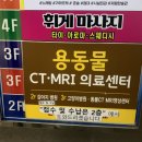 용동물병원 | 창원 동물병원 중성화 수술 추천 잠복고환 (feat. 단두종)
